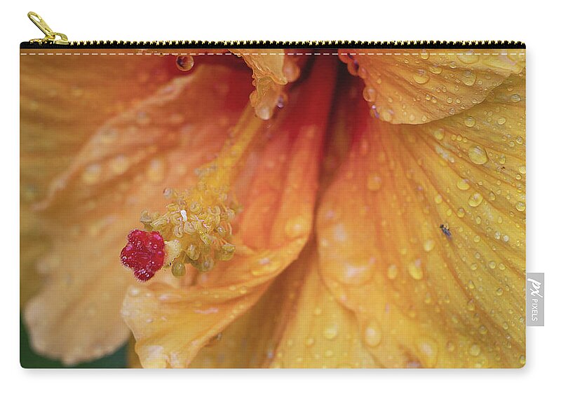Hibiscus Zip Pouch featuring the photograph Rain Kissed by M Kathleen Warren