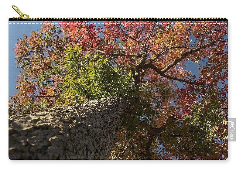 Pepper Tree Zip Pouch featuring the photograph Rainbow Fall Foliage by Richard Thomas