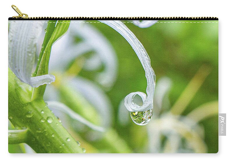 Spring Zip Pouch featuring the photograph Raindrop on a White Flower by Auden Johnson