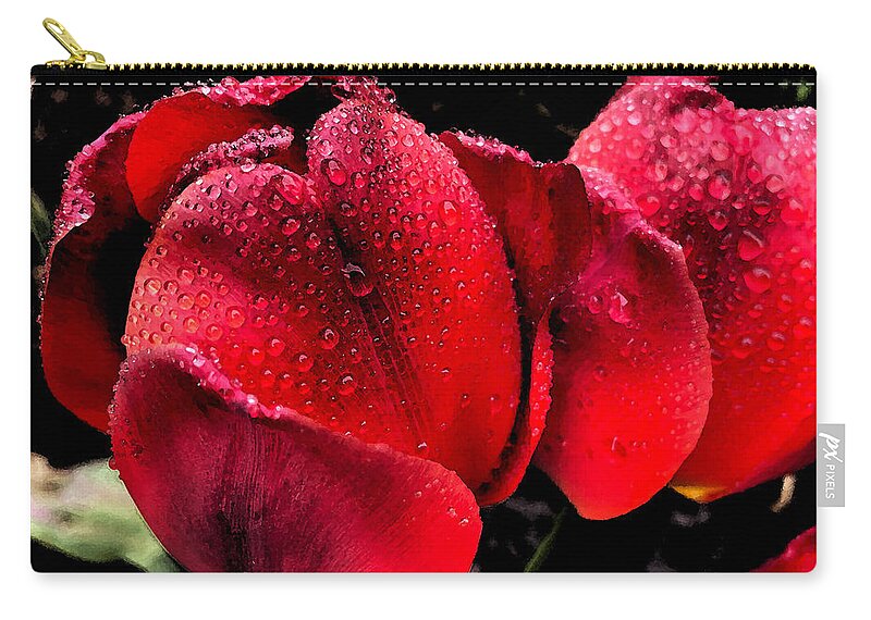 Tulips Zip Pouch featuring the photograph Raindrops on Tulips by Jeanette French