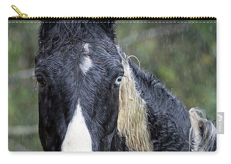 Raining On Ole' Blue Zip Pouch featuring the photograph Raining On Ole Blue by Jennifer Robin