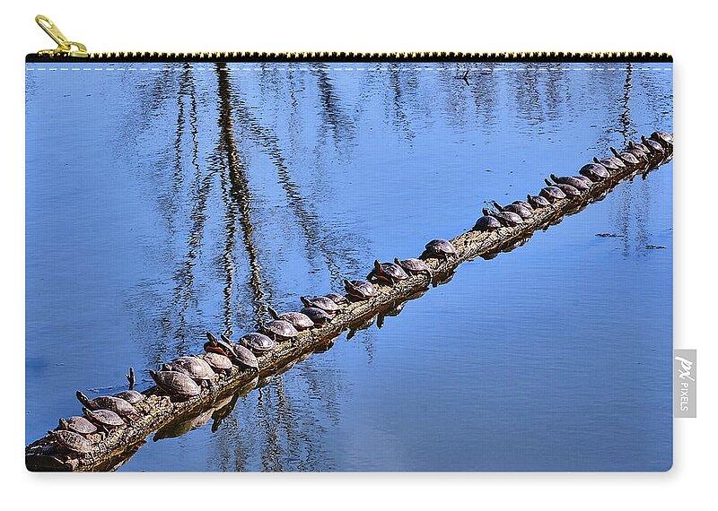 Faune Zip Pouch featuring the photograph Ranked turtles by Carl Marceau