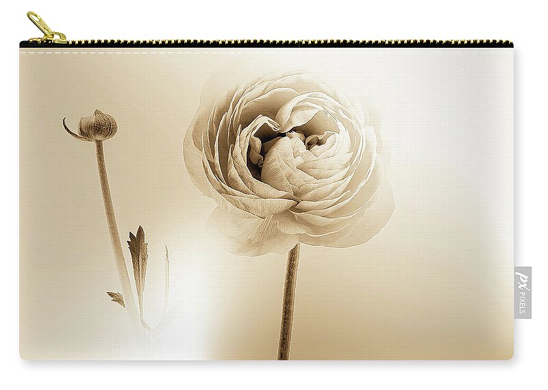 Ranunculus Zip Pouch featuring the photograph Ranunculus On The Square by Rene Crystal