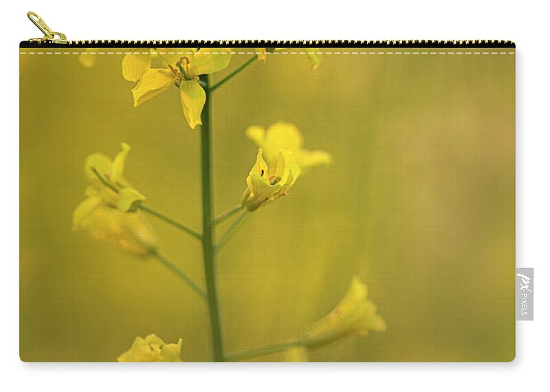 Rapeseed Carry-all Pouch featuring the photograph Rapeseed flowers by Karen Rispin