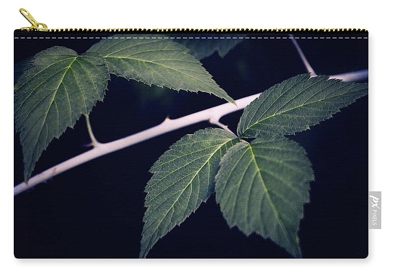 Raspberry Zip Pouch featuring the photograph Raspberry Leaves by RicharD Murphy