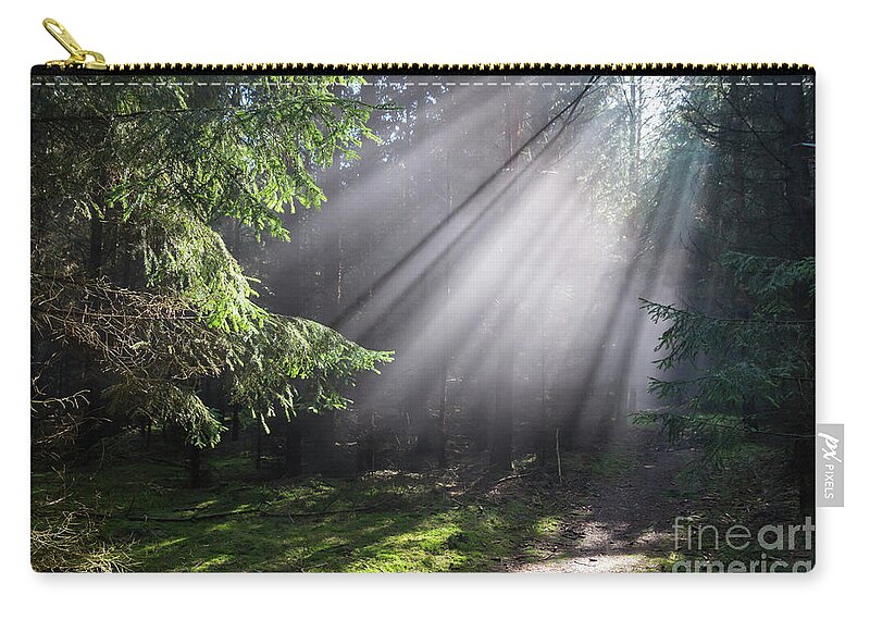 Forest Zip Pouch featuring the photograph Rays of light in the forest 3 by Adriana Mueller