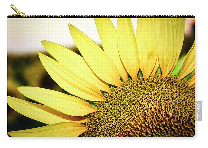 Closeup Zip Pouch featuring the photograph Rays of sun by Maria Dimitrova