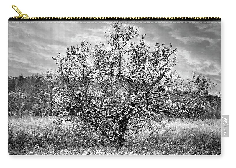 Cades Zip Pouch featuring the photograph Reaching out for Sunrise in Black and White by Debra and Dave Vanderlaan