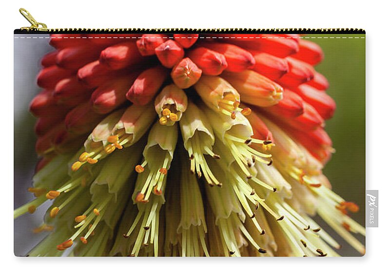 Flower Zip Pouch featuring the photograph Reaching Tentacles by Ryan Huebel
