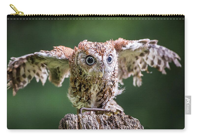 Raptors Owl Carry-all Pouch featuring the photograph Ready for take-off by Robert Miller