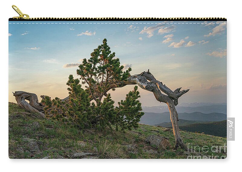 Ancient Sentinels Zip Pouch featuring the photograph Rebirth by Maresa Pryor-Luzier