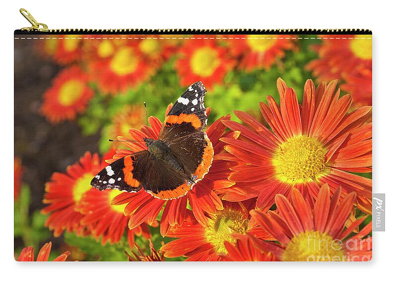 https://render.fineartamerica.com/images/rendered/default/flat/pouch/images/artworkimages/medium/3/red-admiral-butterfly-vanessa-atalanta-on-chrysanthemum-flowers-neale-and-judith-clark.jpg?&targetx=0&targety=-21&imagewidth=777&imageheight=516&modelwidth=777&modelheight=474&backgroundcolor=423721&orientation=0&producttype=pouch-regularbottom-medium