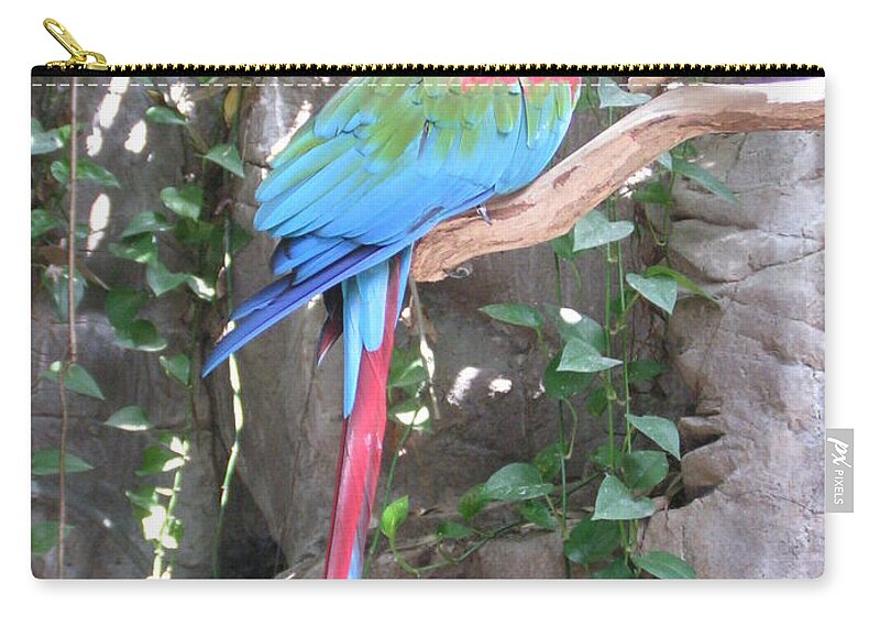 Taken At The Audubon Zoo In New Orleans Zip Pouch featuring the photograph Red and Green Macaw by Heather E Harman