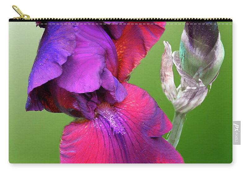 Flora Zip Pouch featuring the photograph Red and Purple Iris by Mariarosa Rockefeller