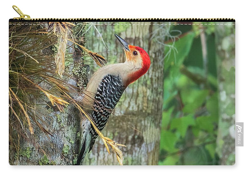 Red-bellied Woodpecker Zip Pouch featuring the photograph Red-bellied Woodpecker by Steven Sparks