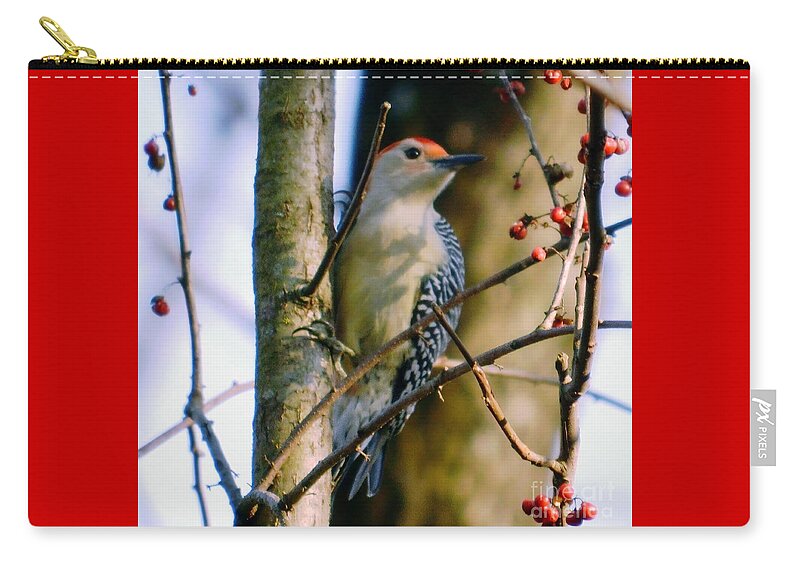 Red-bellied Woodpecker Zip Pouch featuring the photograph Red-Bellied Woodpecker with Berries by Sea Change Vibes