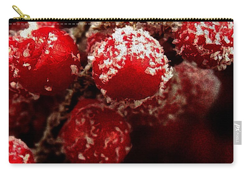 Red Berries Covered Snow Christmas Card Zip Pouch featuring the photograph Red Berries Covered in Snow Christmas Card by David Morehead