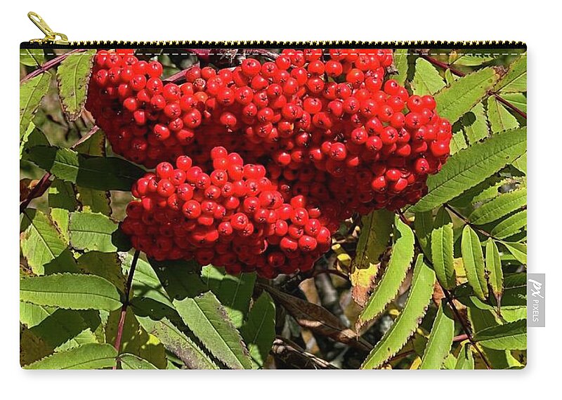  Zip Pouch featuring the photograph Red berries by Meta Gatschenberger