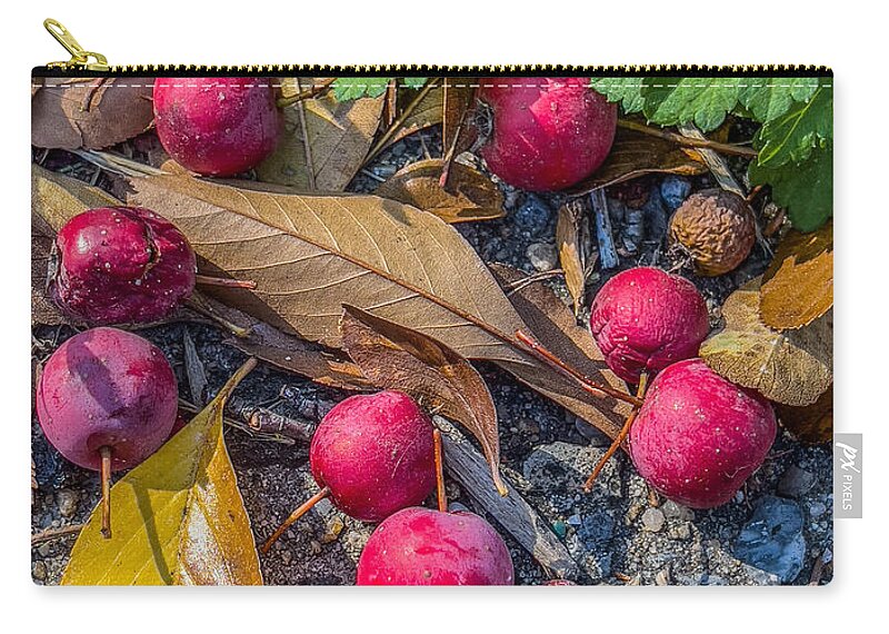 Red Berries Zip Pouch featuring the photograph Red Berries on the Ground by Cate Franklyn