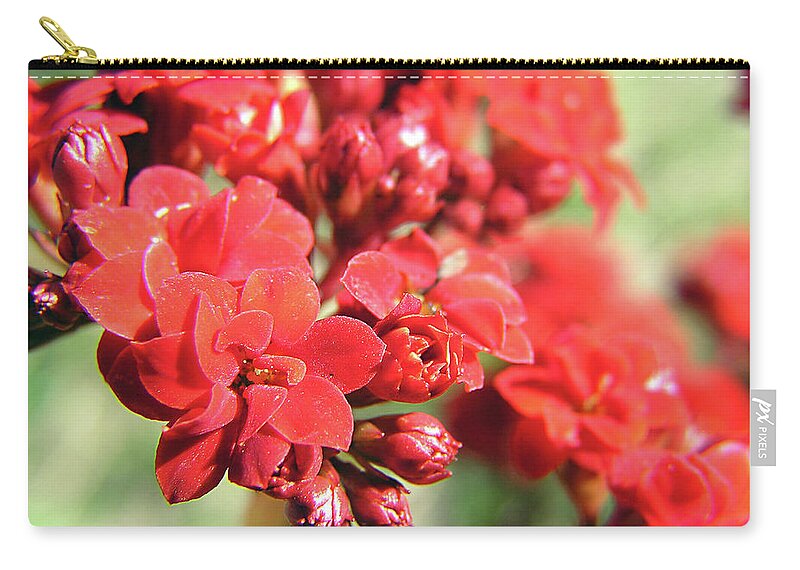 Red Zip Pouch featuring the painting Red Blossom Falls by Adam Johnson