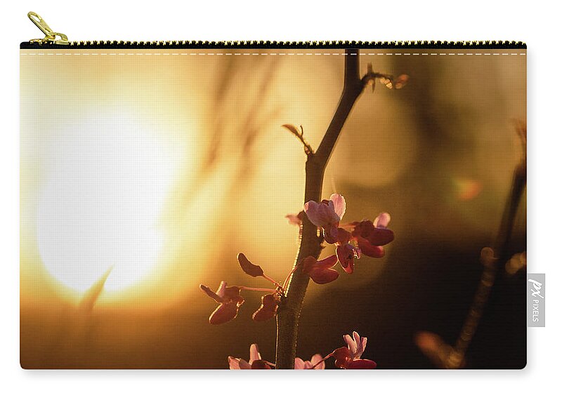 Eastern Red Bud Tree Zip Pouch featuring the photograph Red Bud Sunset by Joni Eskridge