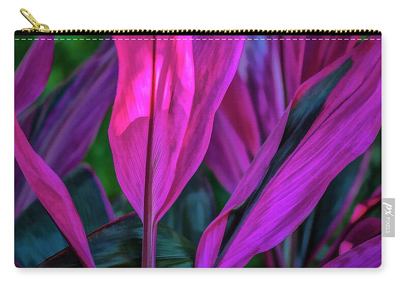Ti Plant Zip Pouch featuring the photograph Red Cordyline by Ginger Stein