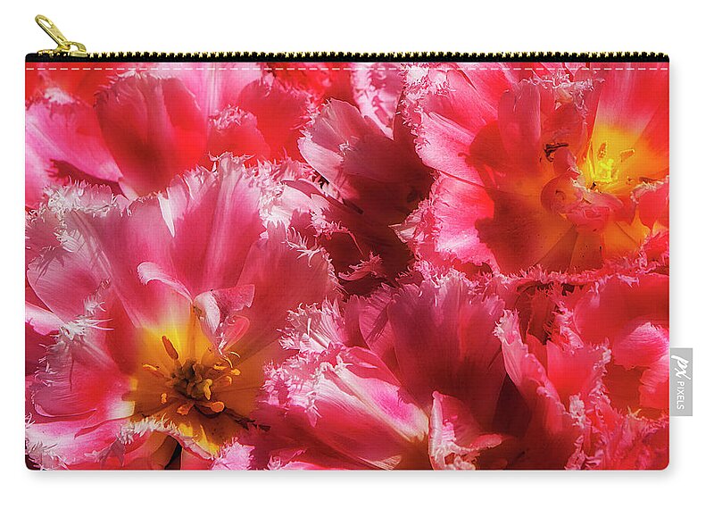 Color Zip Pouch featuring the photograph Red En Masse by Alan Hausenflock
