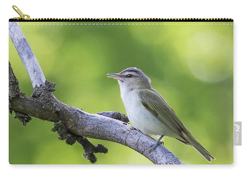 Friendly Zip Pouch featuring the photograph Red-eyed vireo by Mircea Costina Photography
