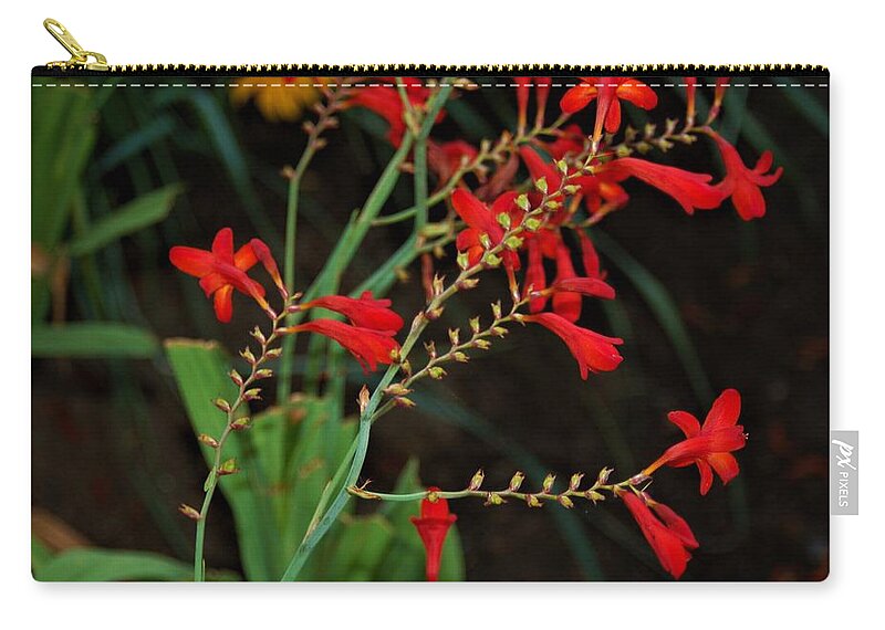 Red Zip Pouch featuring the photograph Red Flowers for You by James Cousineau