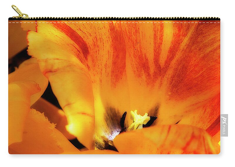 Color Zip Pouch featuring the photograph Red Gold by Alan Hausenflock