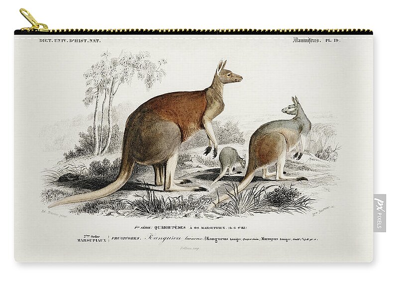 Red Kangaroo Zip Pouch featuring the mixed media Red Kangaroo by World Art Collective