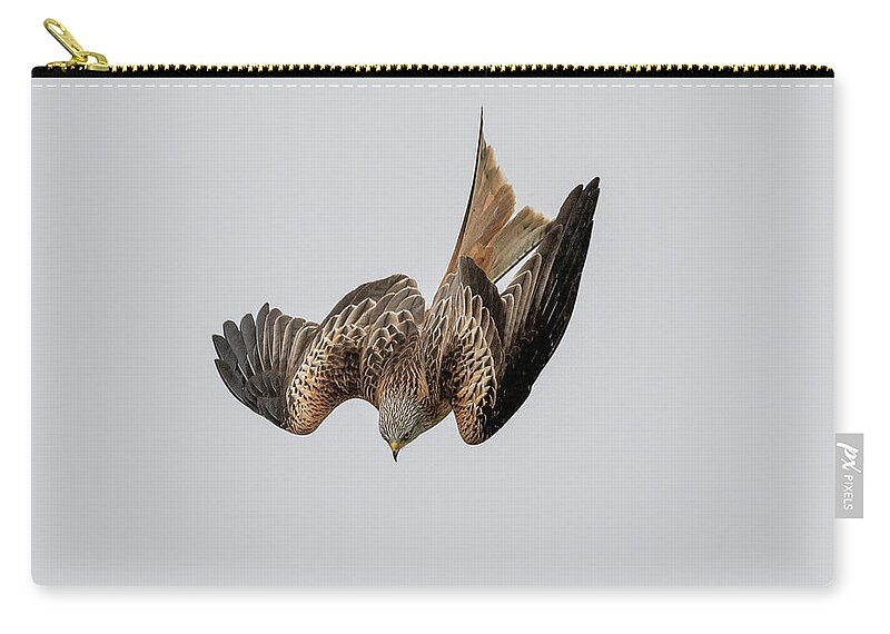 Red Kite Zip Pouch featuring the photograph Red Kite Diving by Mark Hunter
