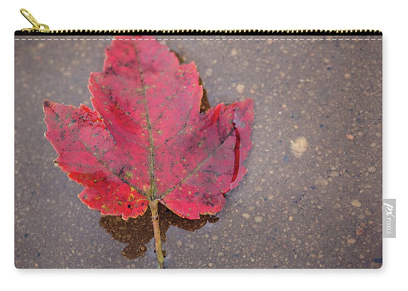 Red Zip Pouch featuring the photograph Red Leaf in Rain by Carolyn Ann Ryan