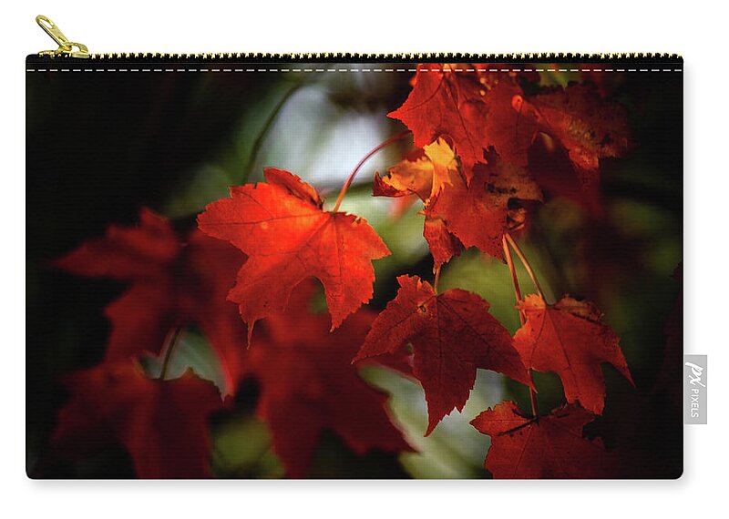 Autumn Zip Pouch featuring the photograph Red Leaves Late Afternoon Sun by Michael Saunders