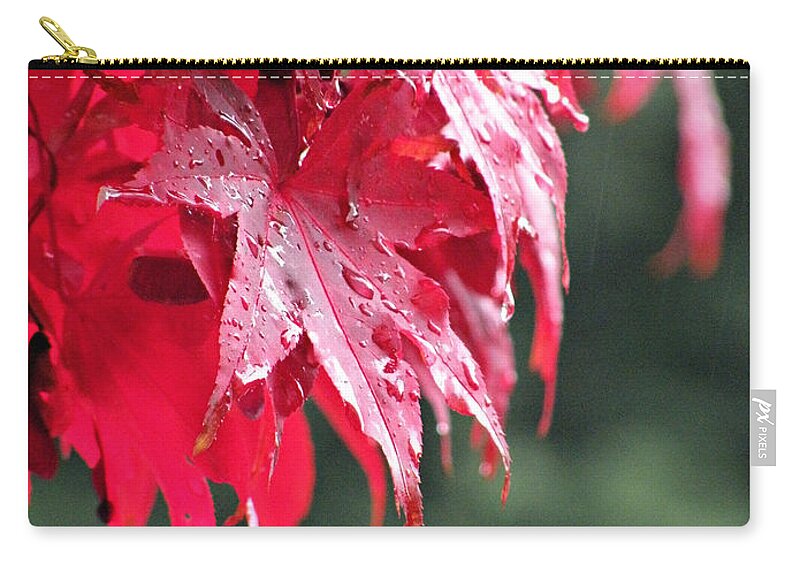 Leaves Zip Pouch featuring the photograph Red Maple by Micki Findlay
