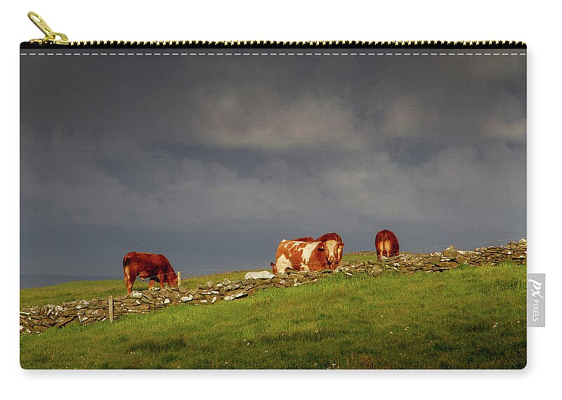 Red Cow Zip Pouch featuring the photograph Red on the Horizon by Mark Callanan
