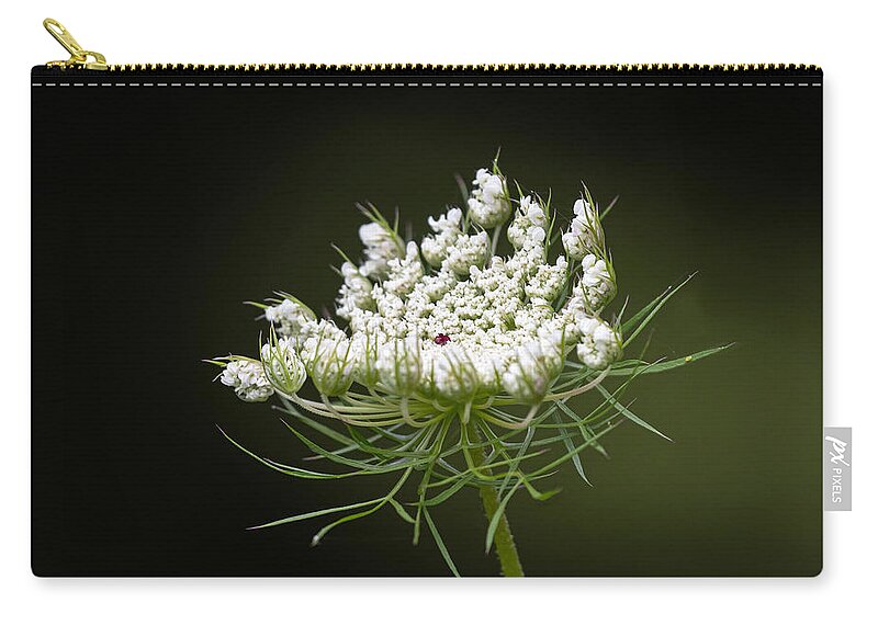 Flower Zip Pouch featuring the photograph Red Petals by Linda Bonaccorsi