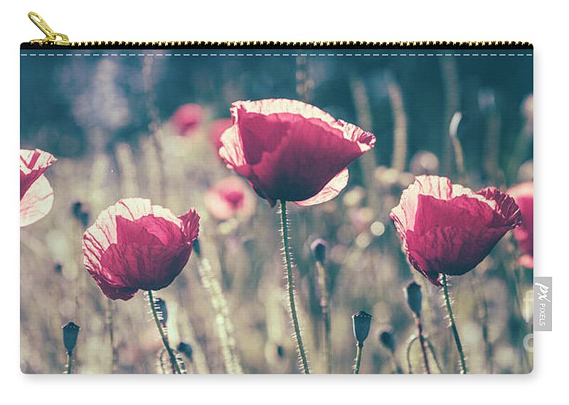 Poppy Zip Pouch featuring the photograph Red poppy flower in countryside field. Summer landscape with wil by Jelena Jovanovic