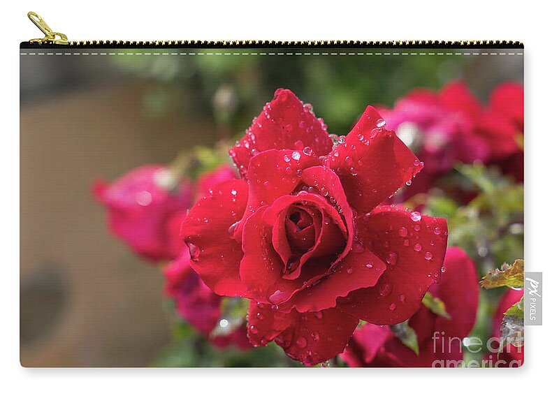 Bloom Zip Pouch featuring the photograph Red rose and water splashes by Adriana Mueller