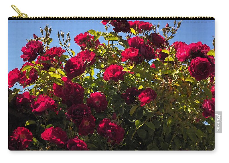 Landscape Zip Pouch featuring the photograph Red Rose Spring Sky by Richard Thomas