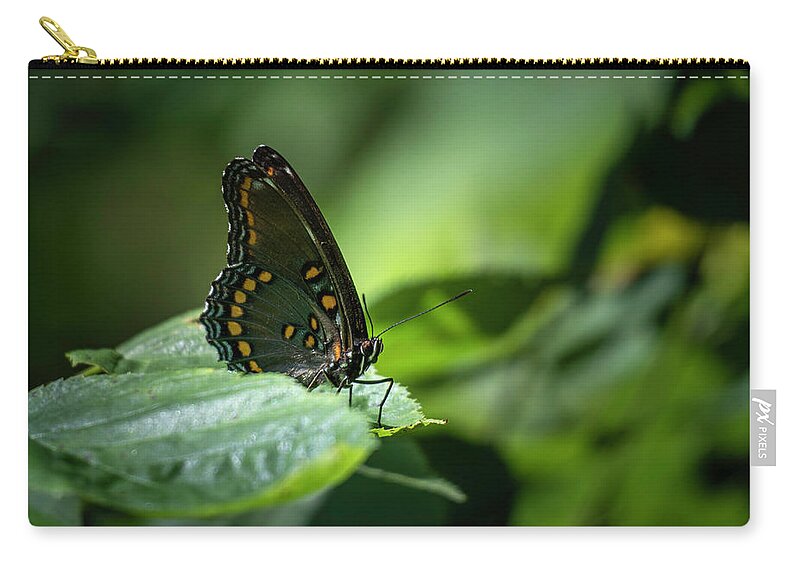 Red Spotted Zip Pouch featuring the photograph Red Spotted Purple Admiral Butterfly by Jason Fink