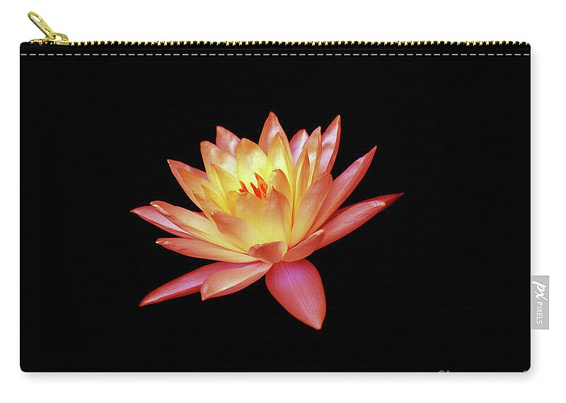 Water Lily; Water Lilies; Lily; Lilies; Flowers; Flower; Floral; Flora; Red; Orange; Yellow; Red Water Lily; Red Flowers; Black; Pink; Digital Art; Photography; Painting; Simple; Decorative; Décor; Macro; Close-up Zip Pouch featuring the photograph Red Water Lily by Tina Uihlein
