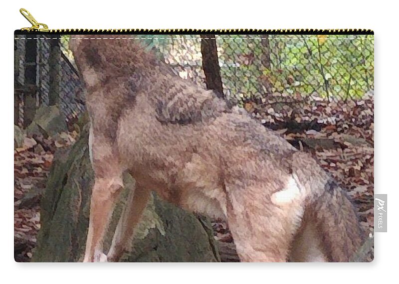 Wolf Carry-all Pouch featuring the photograph Red Wolf Asheboro NC Zoo by Kim Galluzzo Wozniak