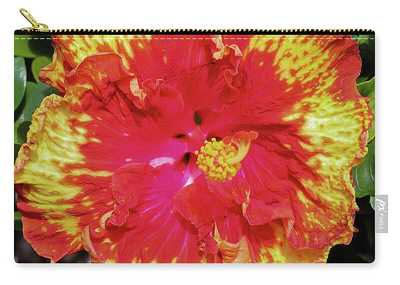 Kauai Zip Pouch featuring the photograph Redhots by Tony Spencer