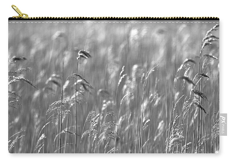 Reed Carry-all Pouch featuring the photograph Reed forest by MPhotographer