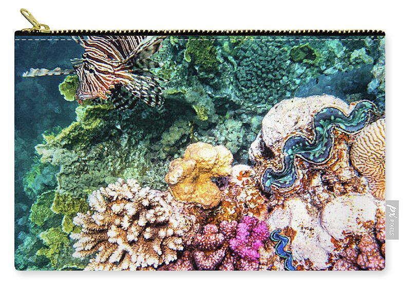 Reef Zip Pouch featuring the photograph Reef by Francesco Riccardo Iacomino