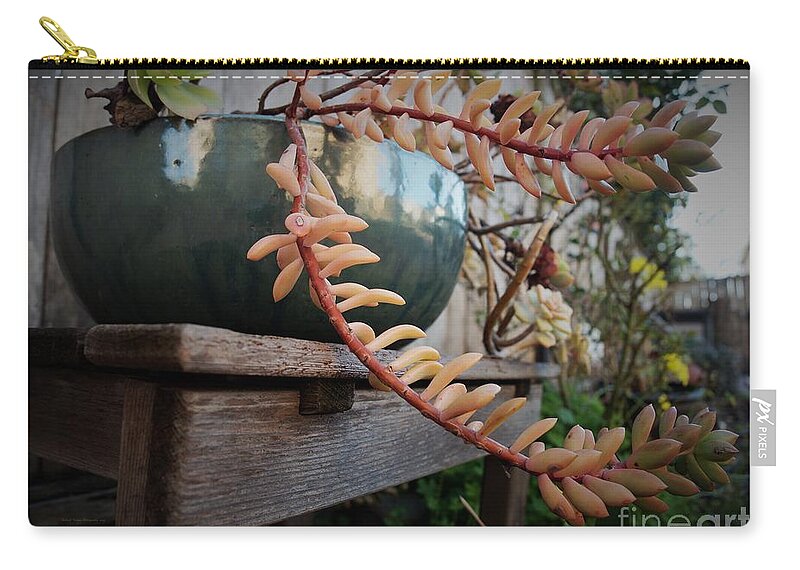 Backyard Zip Pouch featuring the photograph Reflections Still Life by Richard Thomas