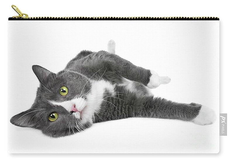 Cat Zip Pouch featuring the photograph Relaxing Kitty Joy by Renee Spade Photography