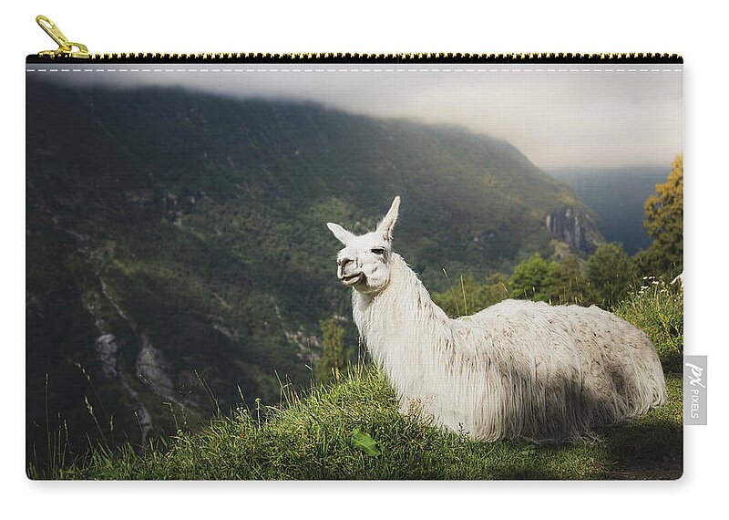 #faatoppicks Zip Pouch featuring the photograph Relaxing Llama in Mountain Landscape by Nicklas Gustafsson