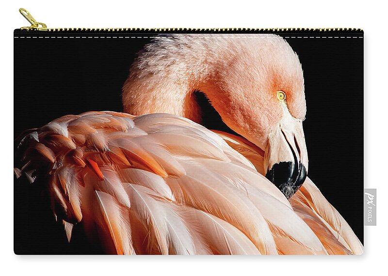 Flamingo Zip Pouch featuring the photograph Resplendent by Bonny Puckett